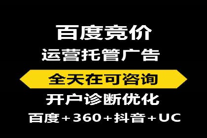 如何在sem竞价托管中取得卓越效果——案例解读